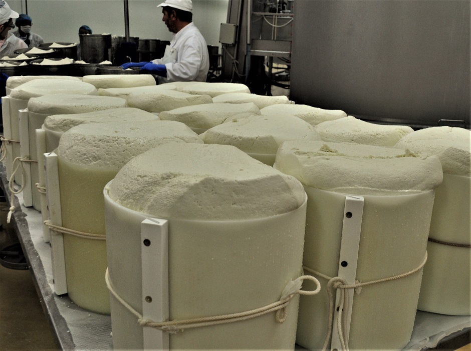 C.P.A. フロマGのチーズときどき食文化