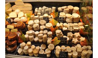広大なパリ盆地のチーズを旅する
