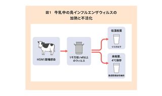 牛が鳥インフルエンザに感染