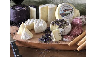 4.25 イタリアワイン＆チーズ料理の世界 ピエモンテ編